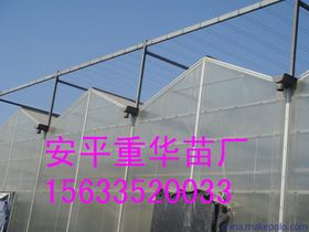 創(chuàng)新驅(qū)動(dòng)下的新型膜材料制造 技術(shù)突破與應(yīng)用前景